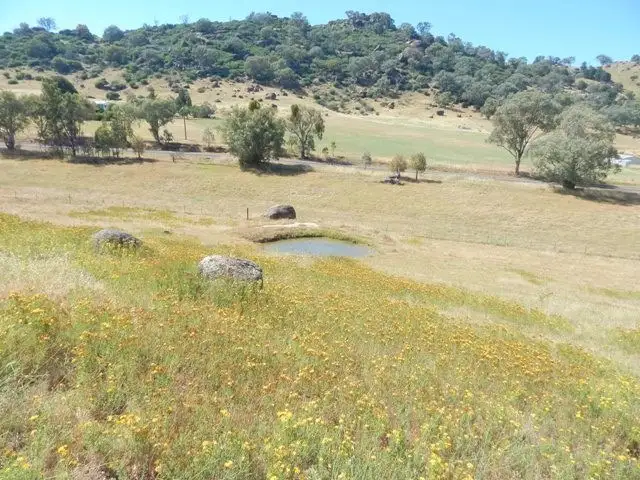 Seventh view of Homely rural property listing, 113 Mount McDonald Road, Darbys Falls NSW 2793