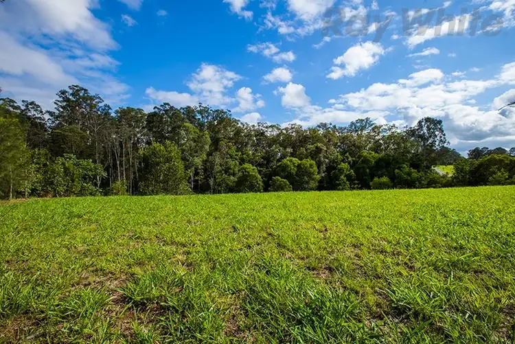 Second view of Homely land listing, 10-14 Quayla Court, Wamuran QLD 4512