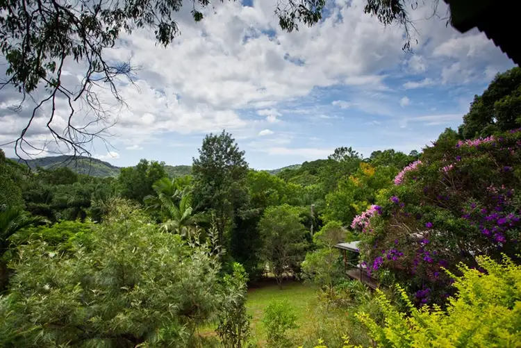 Main view of Homely house listing, 12 Coopers Lane South, Mullumbimby NSW 2482