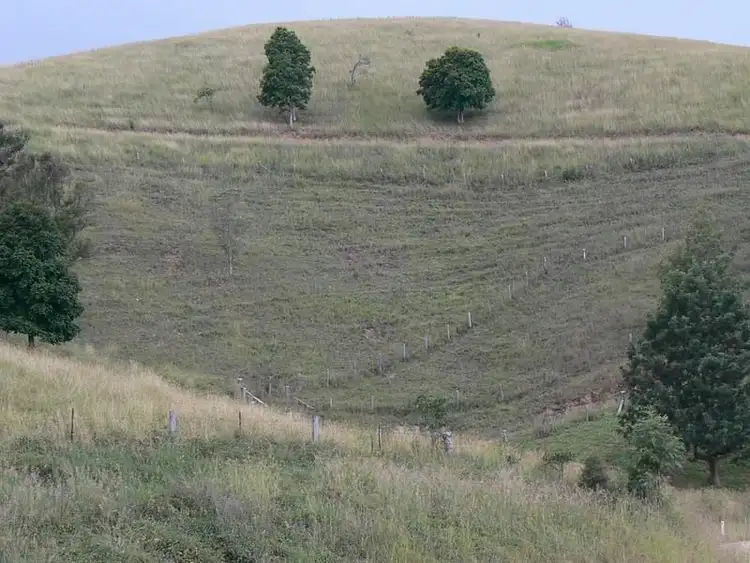 Sixth view of Homely rural property listing, 653 Bunyah Road, Wingham NSW 2429