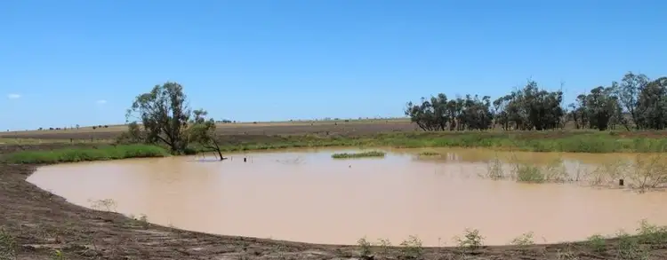 Fifth view of Homely rural property listing, "Cattle Creek" Diamond Downs Road, Clermont QLD 4721