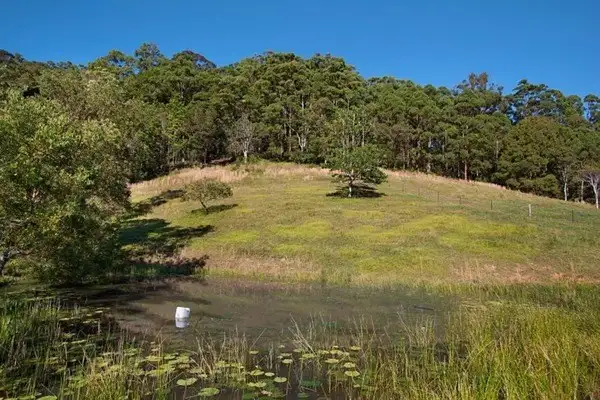 Second view of Homely land listing, 583 Piggabeen Road, Piggabeen NSW 2486
