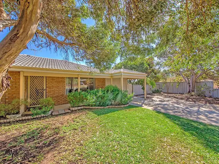 47 MOORPARK Avenue, Yanchep WA 6035