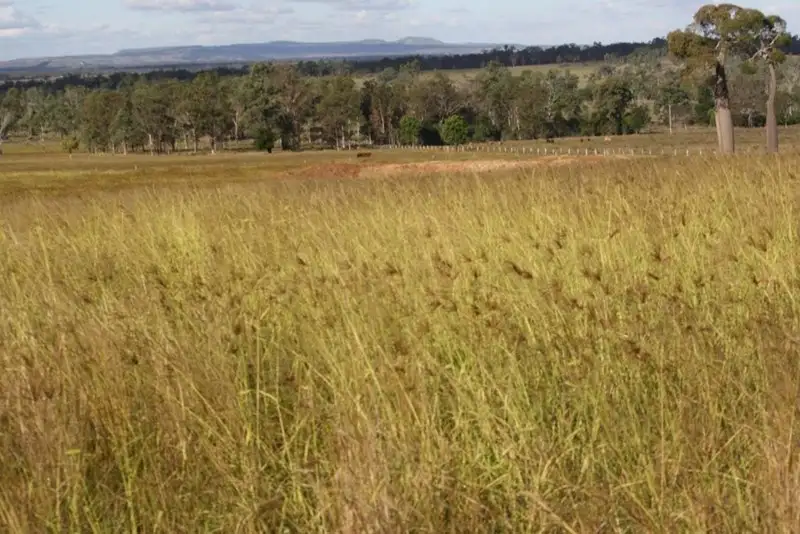 Main view of Homely rural property listing, Address available on request