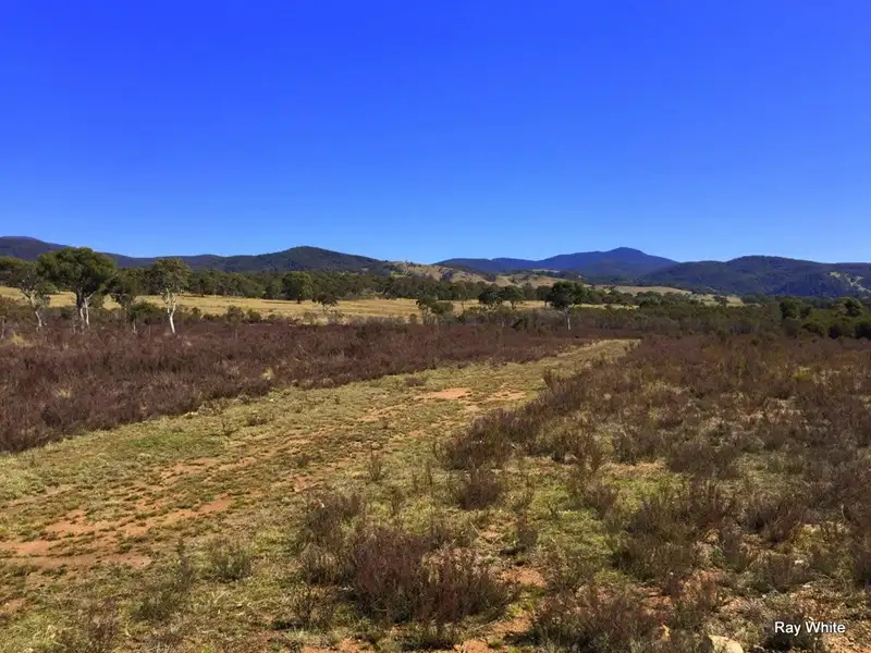 Main view of Homely rural property listing, 45 Tee Tree, Bombay NSW 2622