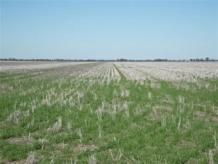 Fourth view of Homely rural property listing, WOODSIDE Carinda Road, Coonamble NSW 2829