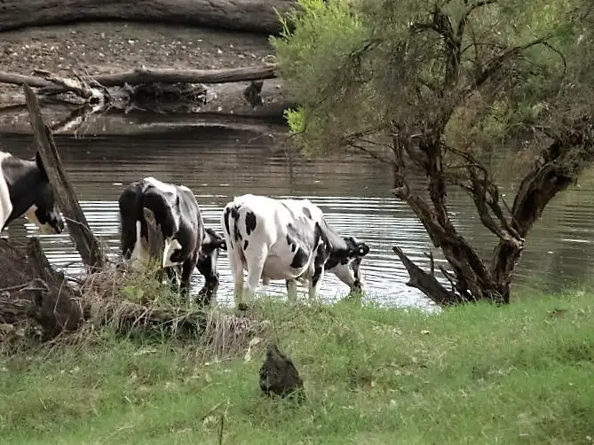 Second view of Homely rural property listing, Lot 102 Balingup Nannup Road, Nannup WA 6275