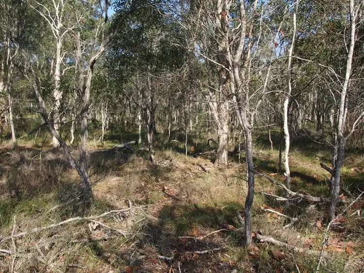 Sixth view of Homely land listing, 202 Condor Drive, Sunshine Acres QLD 4655