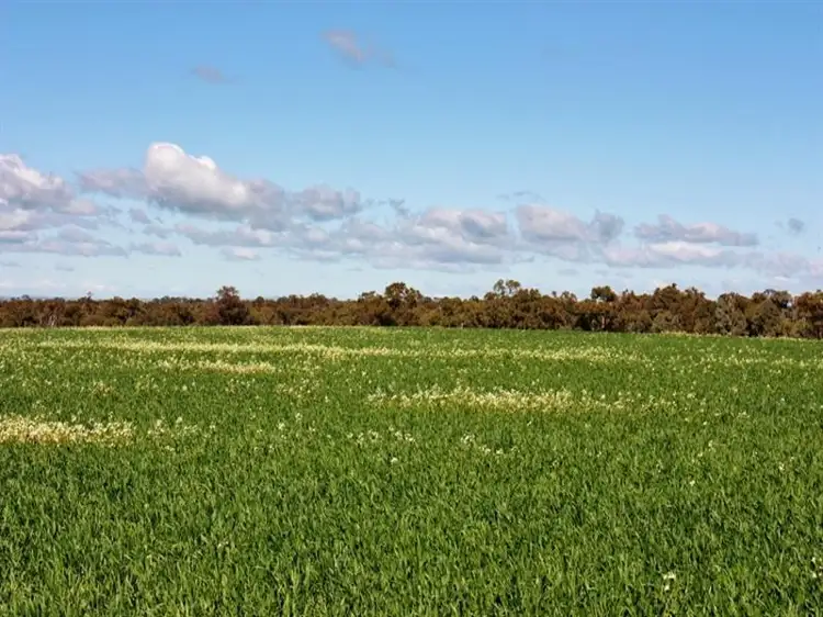 Fifth view of Homely land listing, Lot 94 Boundary Road, Young NSW 2594
