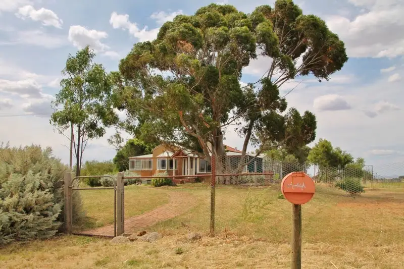 Main view of Homely house listing, 96 Campbells Road Maimuru Via, Young NSW 2594