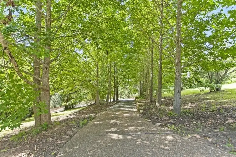 Sixth view of Homely rural property listing, 49 Alan Street, Niagara Park NSW 2250