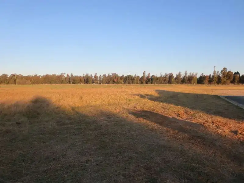 Main view of Homely land listing, 10 Kotzur Circle, Walla Walla NSW 2659