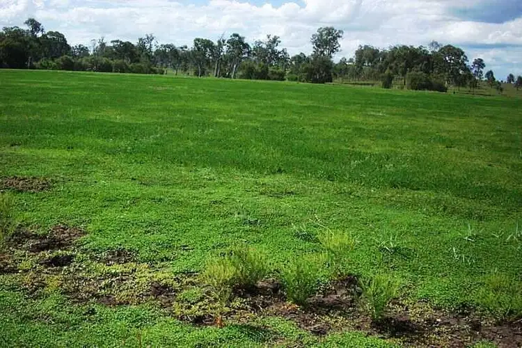 Third view of Homely rural property listing, Address available on request