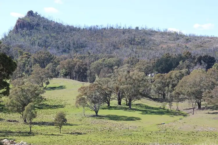 Third view of Homely rural property listing, 'MIRRIGUNDI' 1941 TIMOR Road, Coonabarabran NSW 2357
