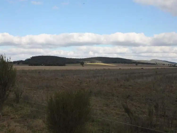 Fourth view of Homely rural property listing, 52 Woodlawn Lane, Forbes NSW 2871