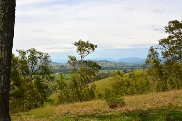 Seventh view of Homely rural property listing, 246 Alison Road, Dungog NSW 2420