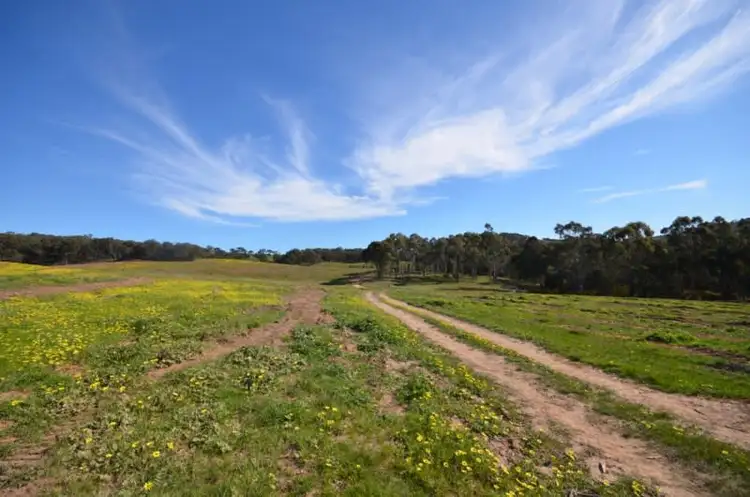 Sixth view of Homely rural property listing, CA 5B and 6B Black Bottom Road, Lexton VIC 3352