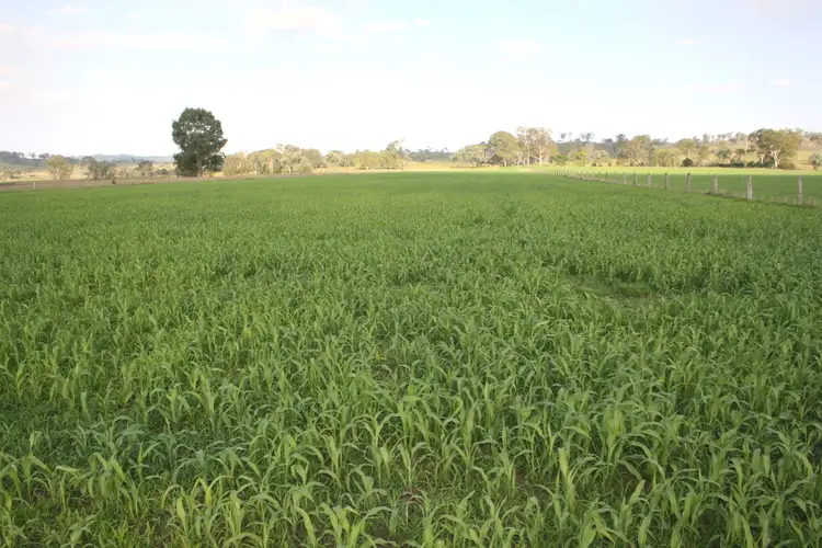 Main view of Homely rural property listing, 26 Hiawatha Road, Goomeribong, Goomeri QLD 4601