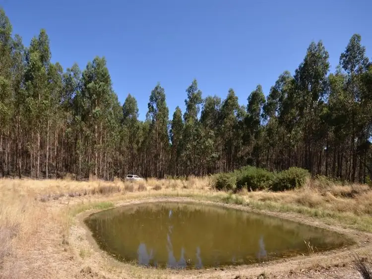Main view of Homely rural property listing, Dreamers Hill Road, Linton VIC 3360