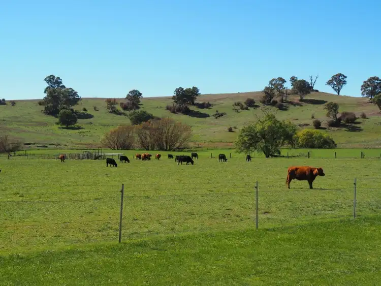 Third view of Homely rural property listing, Address available on request