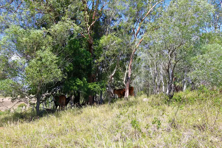 Seventh view of Homely land listing, Lot 12 Brown Road, Wanora QLD 4306