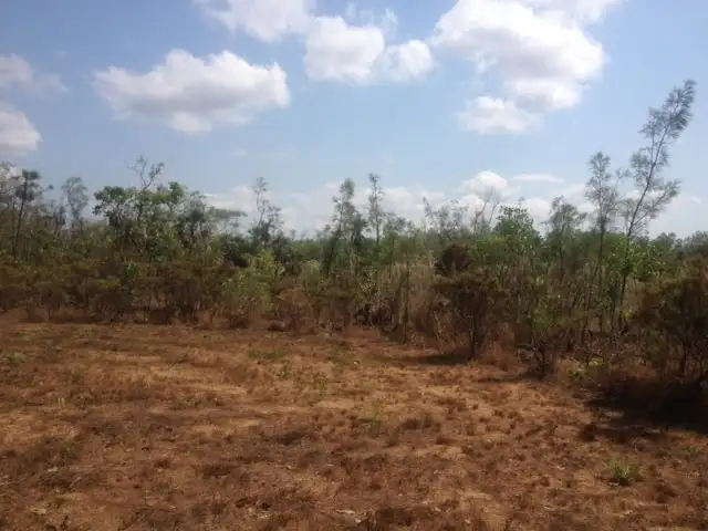 Sixth view of Homely land listing, Lot 3655 4800 Fog Bay Road, Dundee Forest NT 840