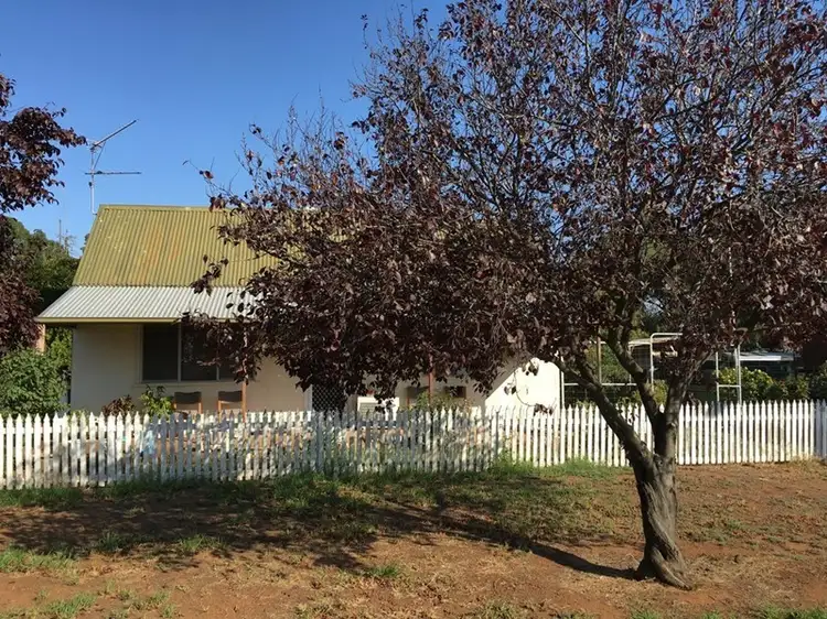 Main view of Homely house listing, 19 Conapaira Street, Whitton NSW 2705