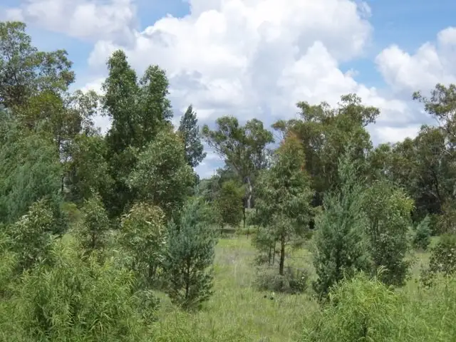 Fourth view of Homely land listing, 17 Banjarra Drive, Charleville QLD 4470