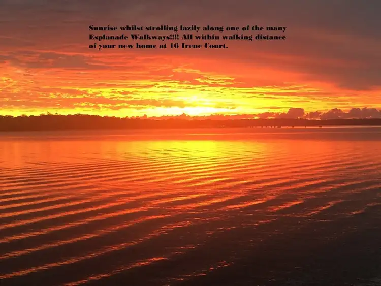 Fourth view of Homely house listing, 16 Irene Court, Redland Bay QLD 4165