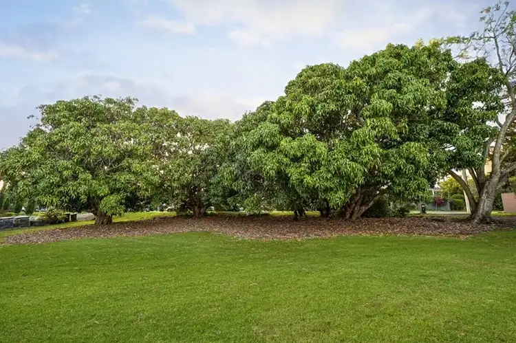 Fifth view of Homely house listing, 56 Terranora Road, Banora Point NSW 2486