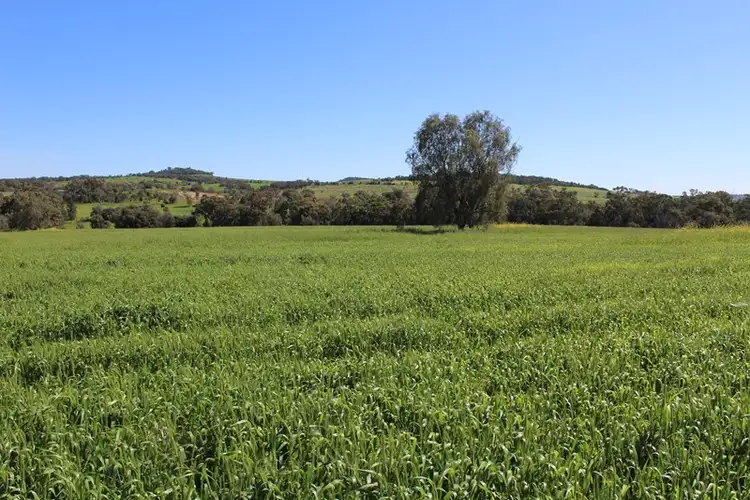 Second view of Homely rural property listing, Address available on request
