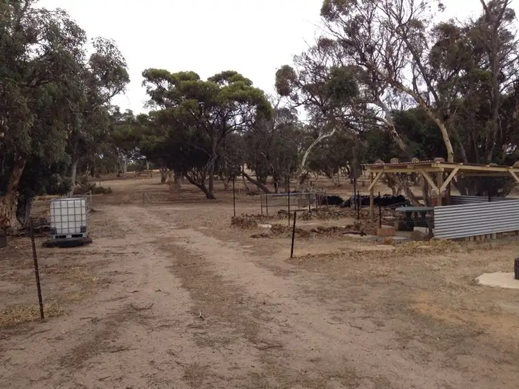 Fifth view of Homely rural property listing, 805 Bullaring, Pingelly WA 6308