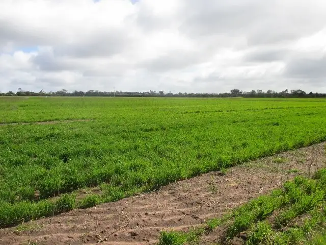 Seventh view of Homely house listing, 3110 Katanning-Nyabing Road, Katanning WA 6317