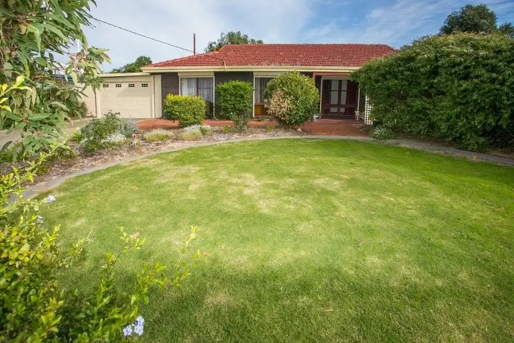 Main view of Homely house listing, 19 Beor Way, Herne Hill WA 6056