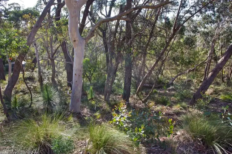 Second view of Homely land listing, Block 7 - Lot 174 and 124 DP 16449 - 38 Godson Avenue, Blackheath NSW 2785