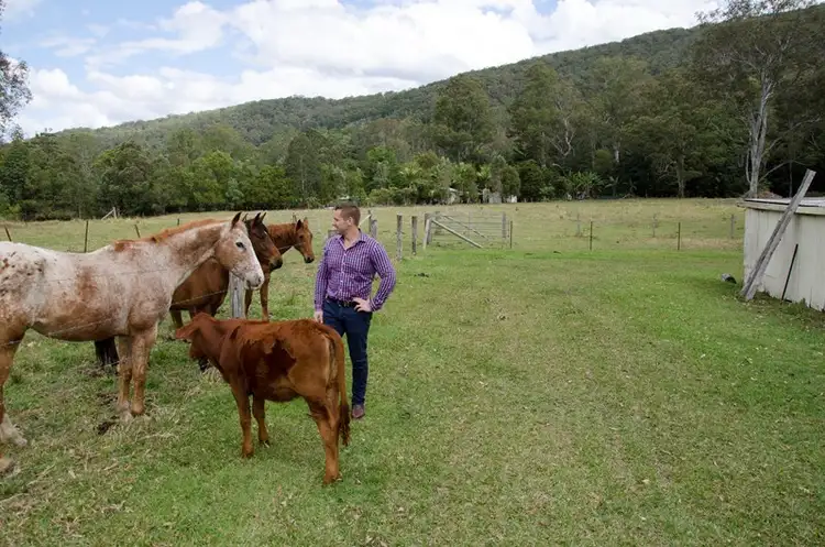 Third view of Homely rural property listing, 12 King Creek Road, Eerwah Vale QLD 4562