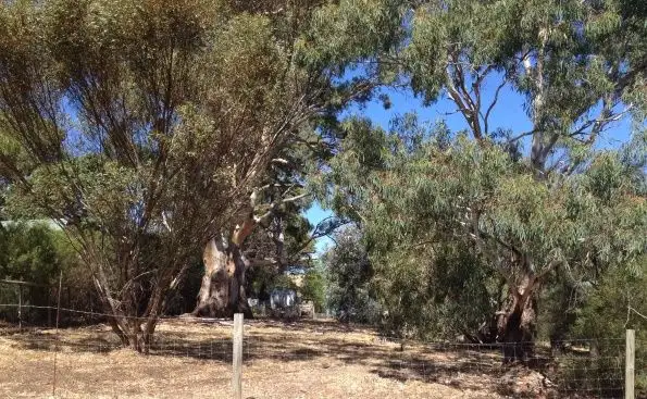 Third view of Homely land listing, 3 Barunga Street, Yankalilla SA 5203