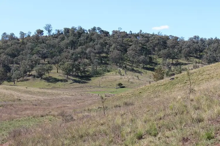 Fourth view of Homely rural property listing, 244 Sheep Station Creek Road, Bingara NSW 2404