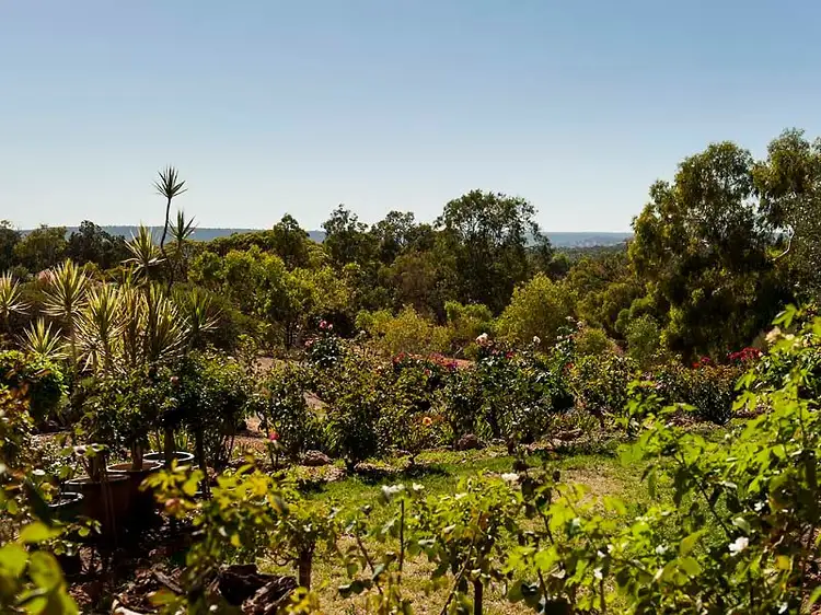 Fourth view of Homely house listing, 317 Murray Grey Circle, Lower Chittering WA 6084