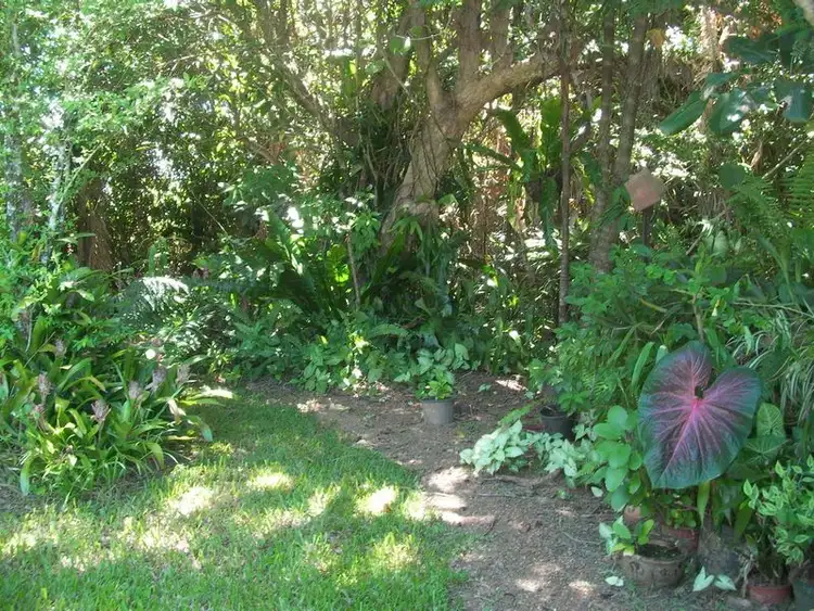 Second view of Homely house listing, 97 Gibson Road, Mena Creek QLD 4871