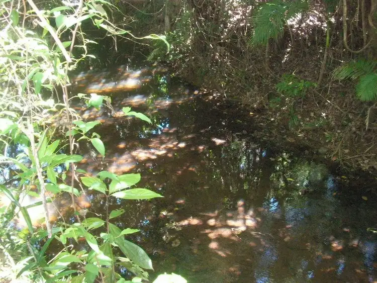 Fifth view of Homely house listing, 97 Gibson Road, Mena Creek QLD 4871