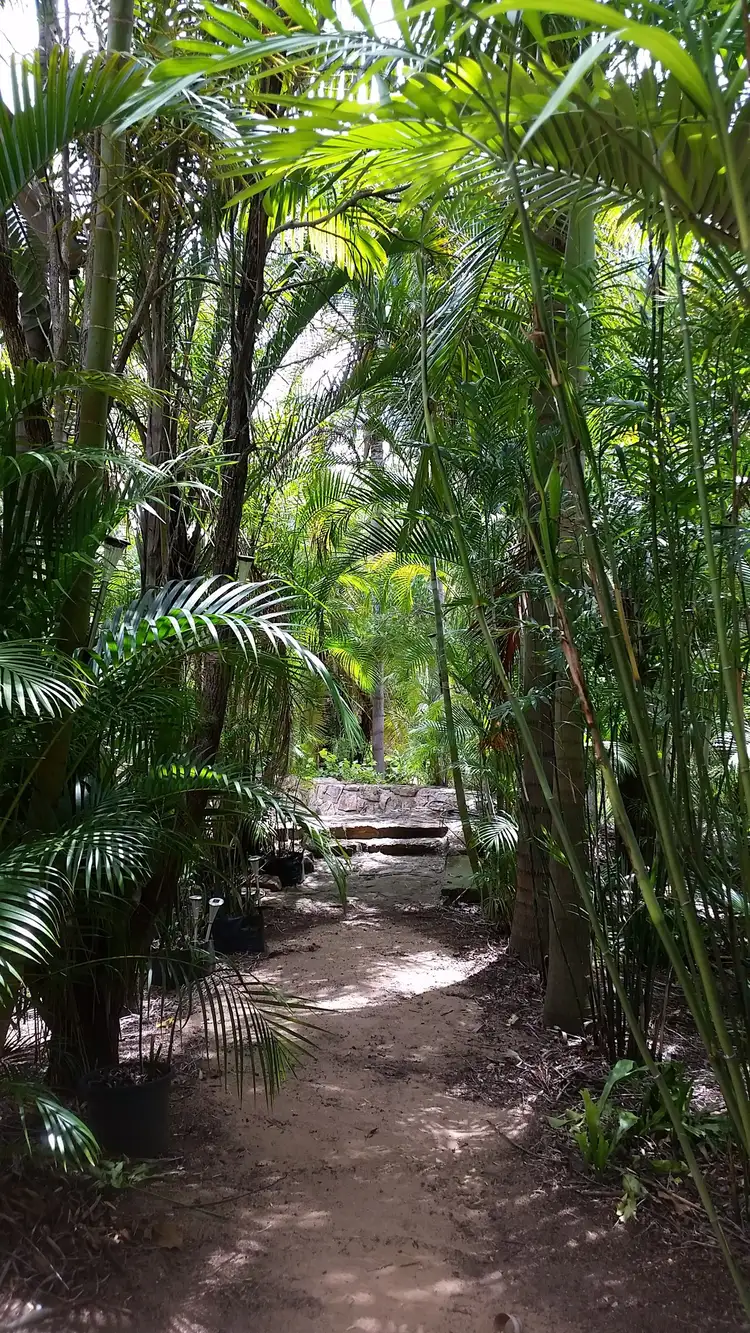 Fifth view of Homely rural property listing, 250 Mount Mulgowie Road, Buaraba QLD 4311