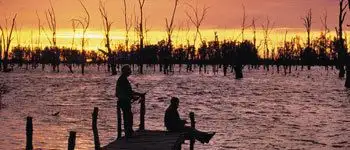 Fifth view of Homely land listing, Lot 31 Rose Drive, Mulwala NSW 2647