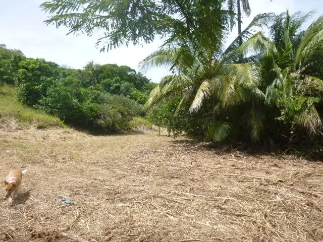 Second view of Homely land listing, 11 Ann Street, Cooktown QLD 4895