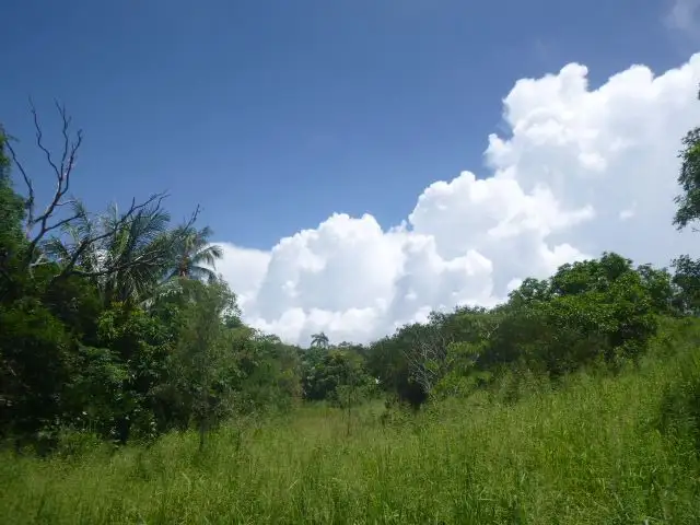 Fourth view of Homely land listing, 11 Ann Street, Cooktown QLD 4895