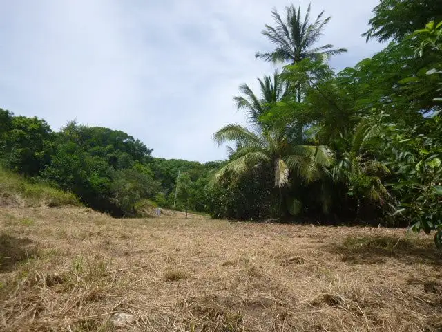 Fifth view of Homely land listing, 11 Ann Street, Cooktown QLD 4895
