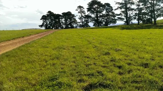 Second view of Homely rural property listing, 10313 Nerriga Road, Braidwood NSW 2622