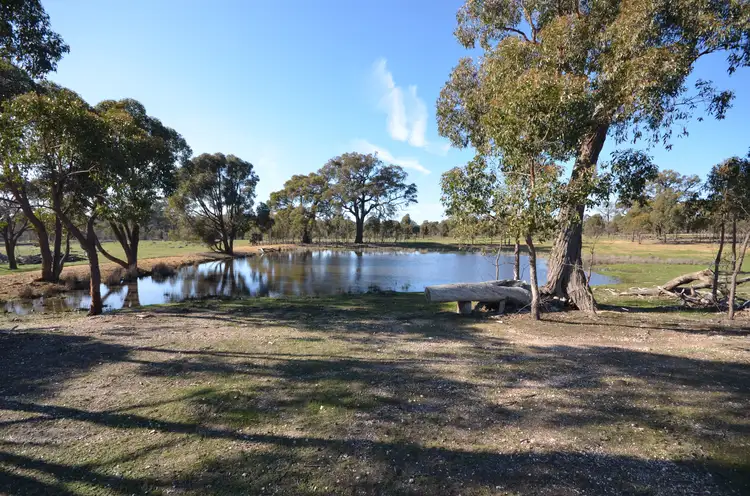 Main view of Homely rural property listing, Lots 1 & 2 Lillicur West Road, Lamplough VIC 3352
