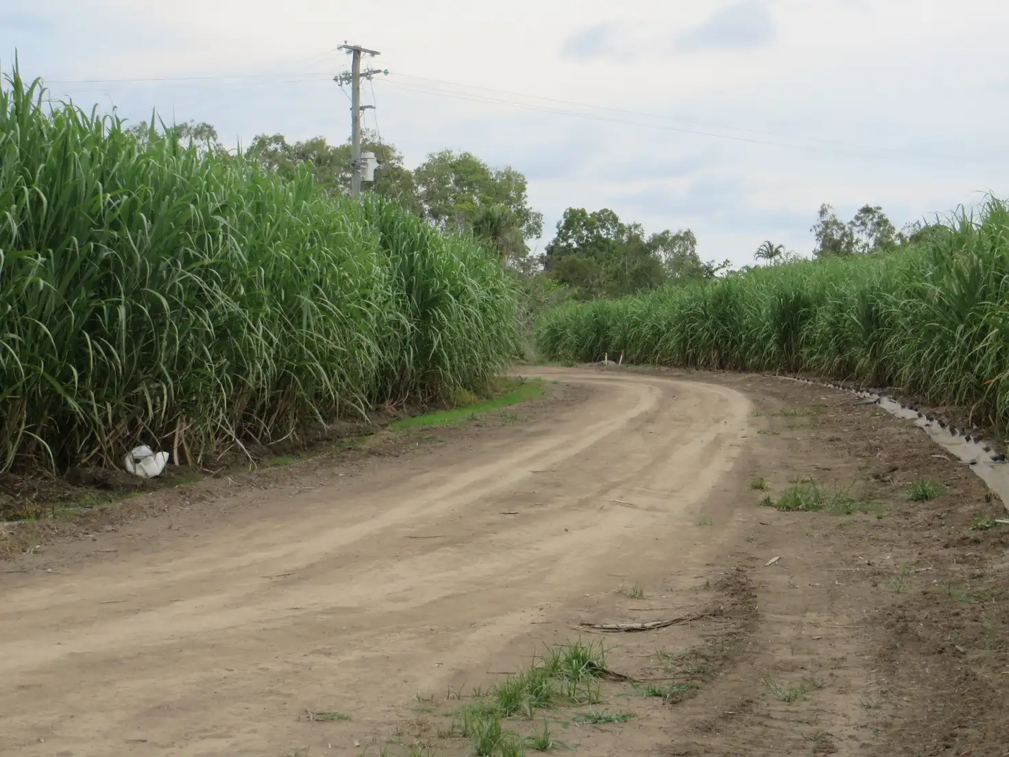Main view of Homely rural property listing, Address available on request