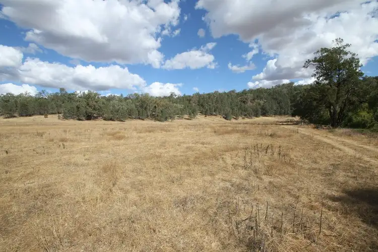 Fourth view of Homely rural property listing, 9 Grandview Place, Quirindi NSW 2343